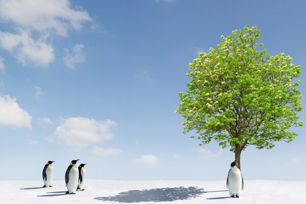 Pingouins surpris et arbre vert