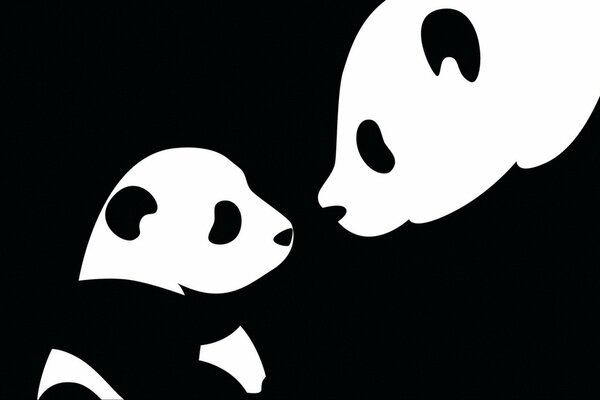 Dos pandas sobre fondo negro