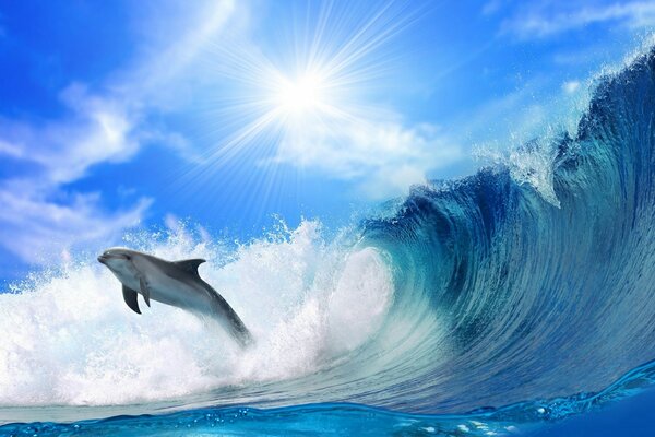 The dolphin jumped out of the water. Crest of the wave