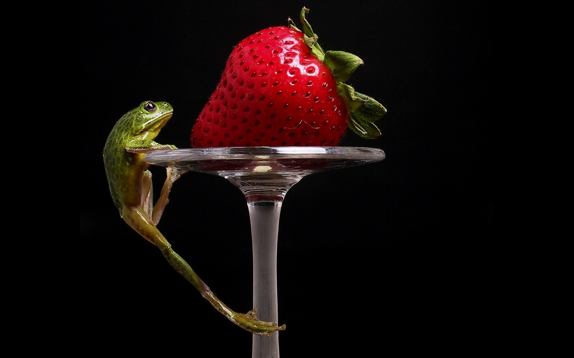 frog strawberry