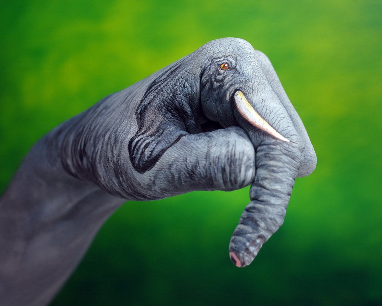 elefante verde fondo mano