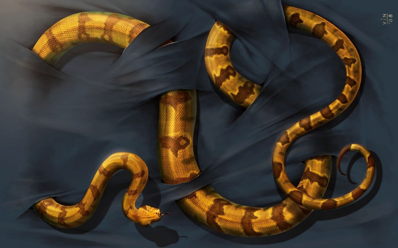 nake cloth scales background