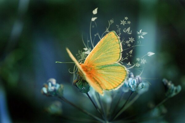 Yellow butterfly on a patterned blurry background