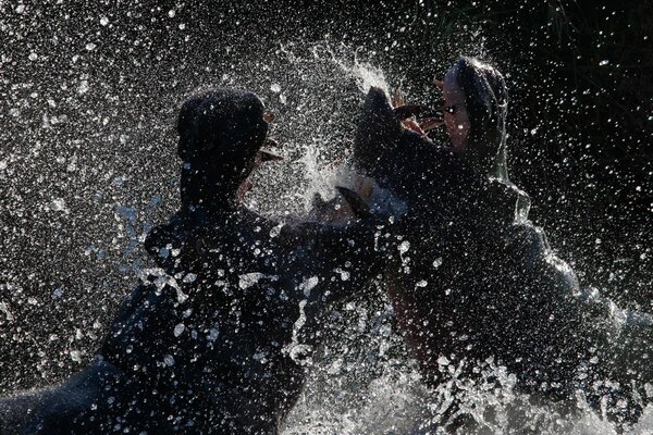 Water splashes from two hippos