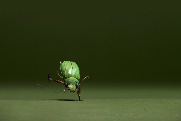 A green beetle dancing on one leg