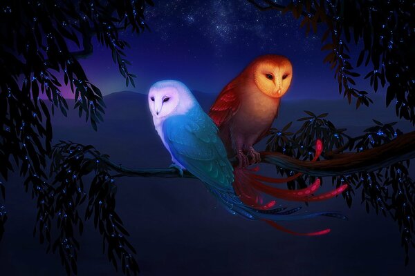 A fantasy picture, two owls sitting on a branch