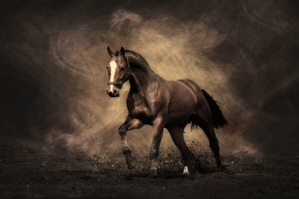 Cheval brun dans la fumée