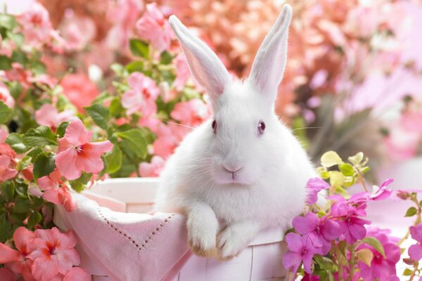 Lapin blanc assis dans un panier parmi les fleurs