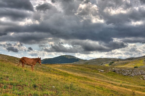 Sul campo in attesa di un temporale