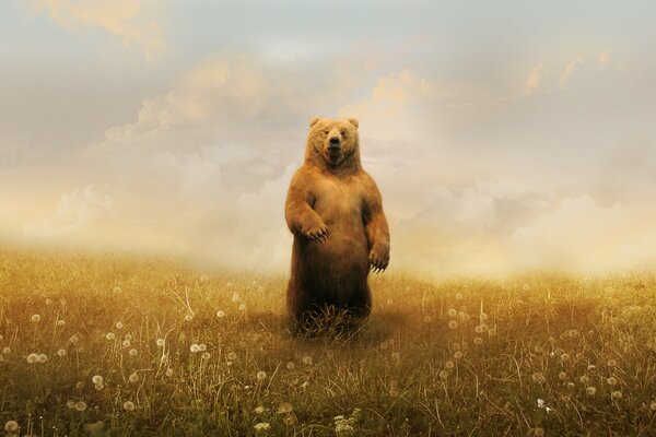 Teddy bear in dandelions on the background of clouds