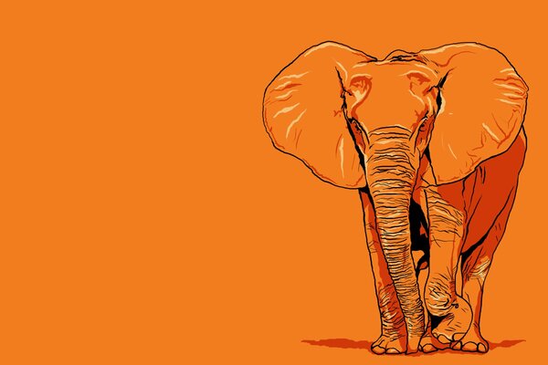 Painted elephant on an orange background
