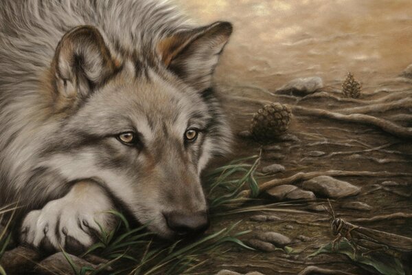 A picture of a wolf lying on the ground and watching a grasshopper