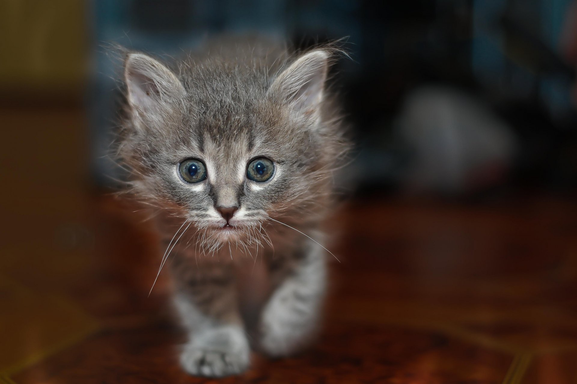 ojos miradas mirada fondo