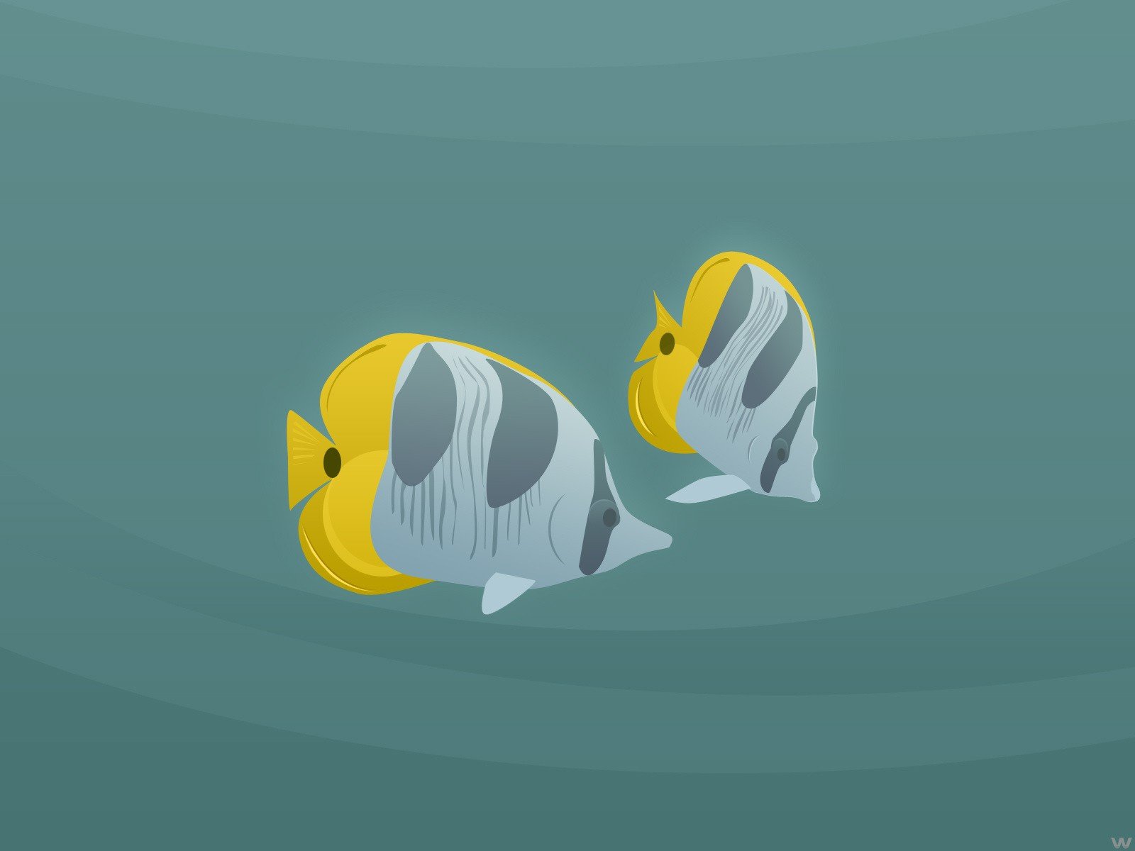 fish vector minimalism