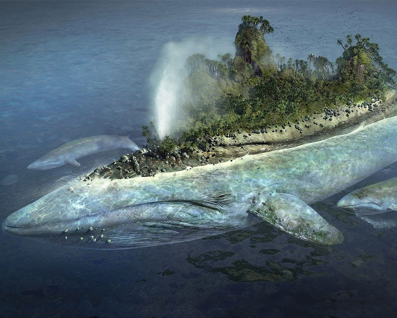 whale island water