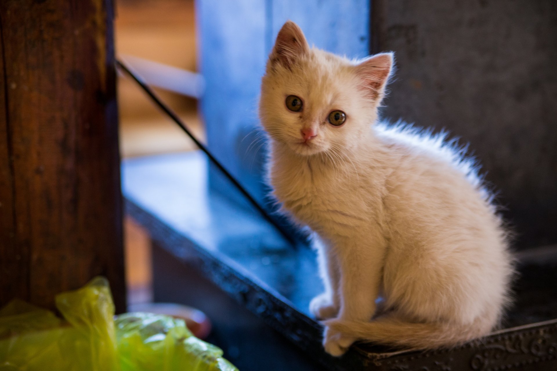 bébé regard yeux