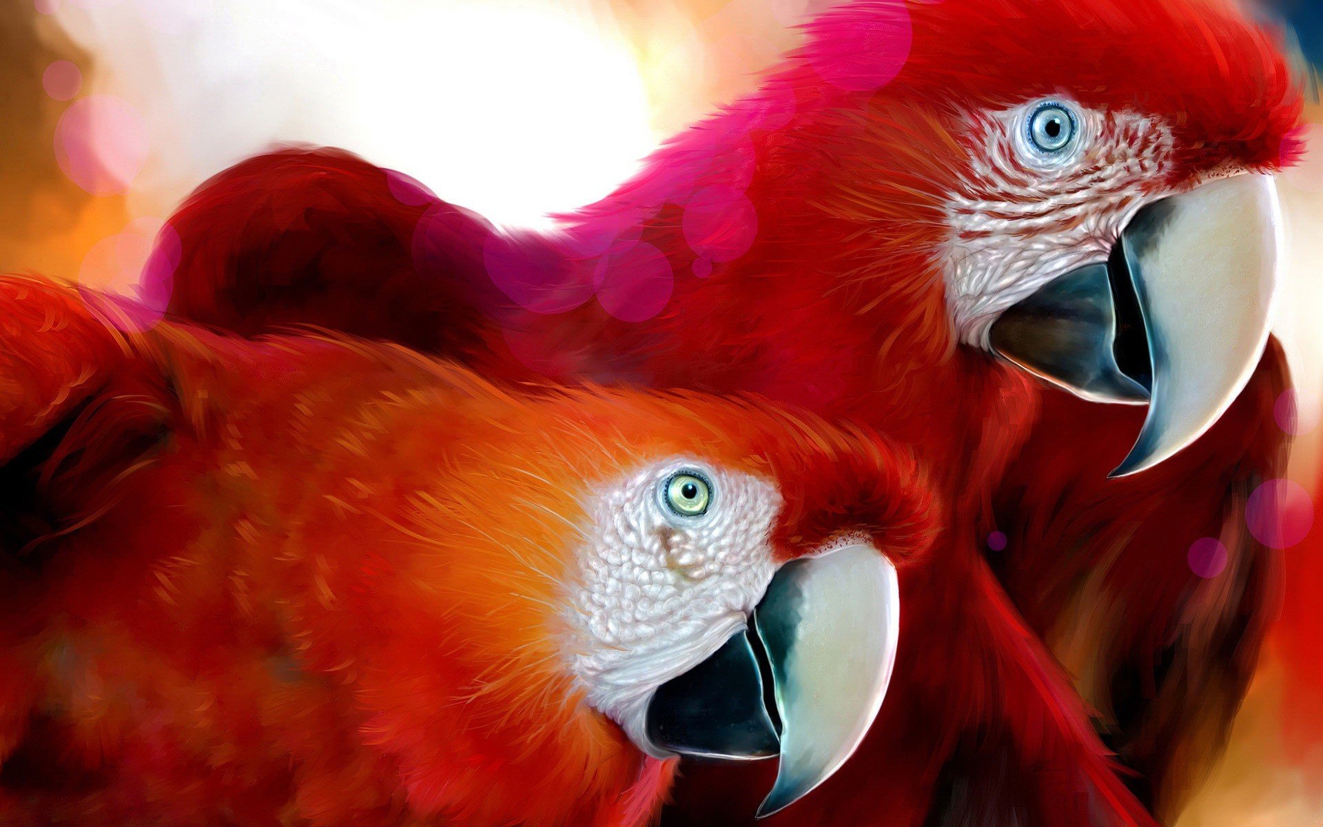 ara red picture parrot