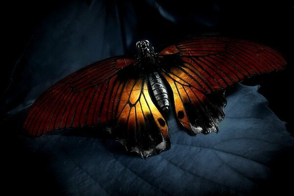 Бабочка со свечением в крыльях сидит на листе