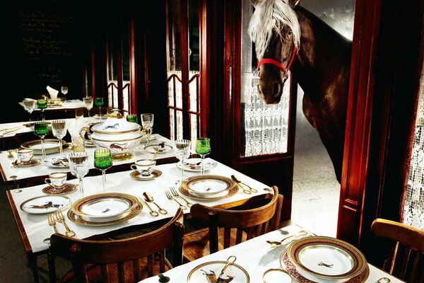 Foto del ristorante e del cavallo