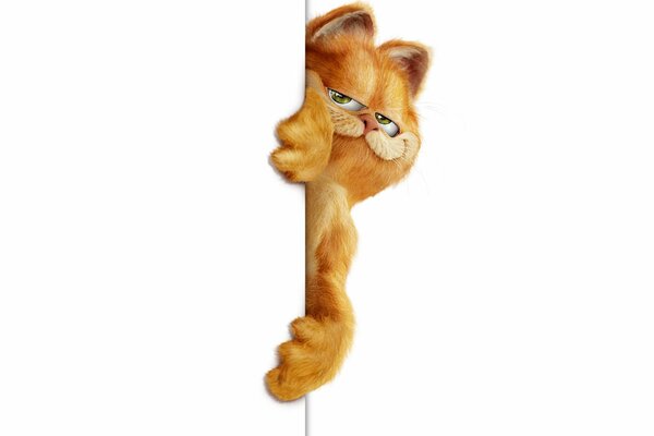 Garfield, el gato rojo sobre un fondo blanco