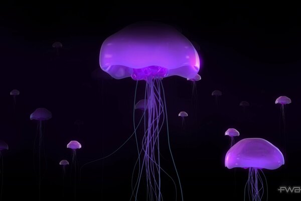 Glowing purple jellyfish in the dark