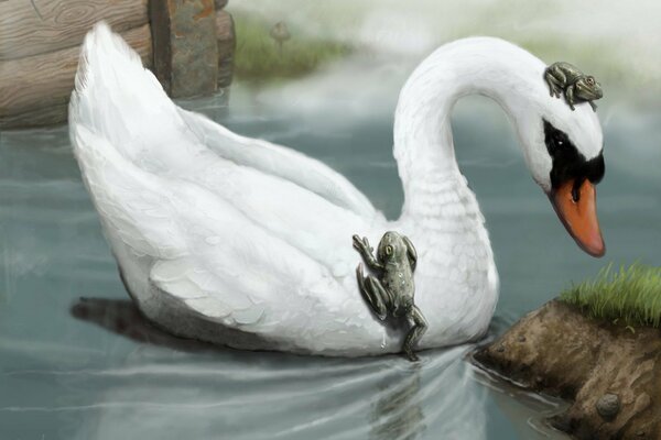 Zwei Frösche kletterten auf einen Schwan