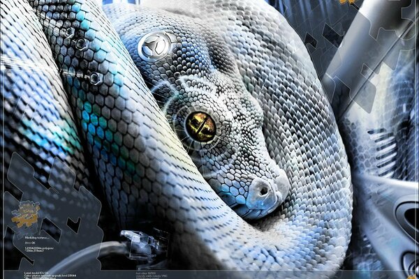 Foto de la serpiente azul en el tratamiento moderno