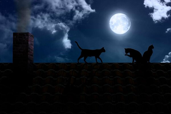 Czarne koty w pełni księżyca na dachu