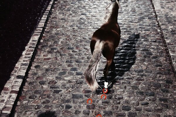 Un caballo caminando por un camino de adoquines