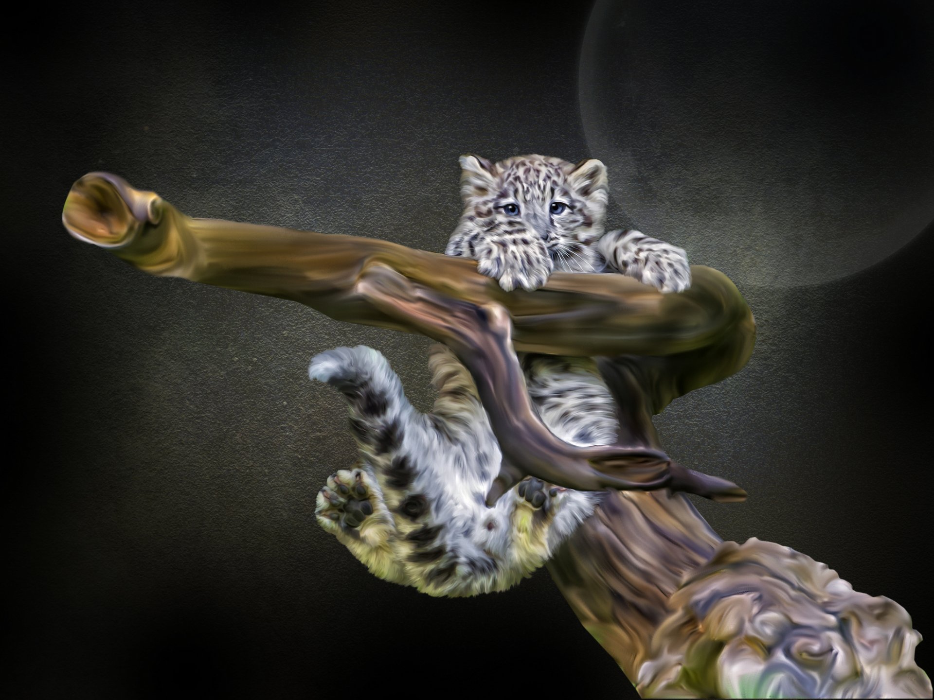 snow leopard irbis driftwood photoshop