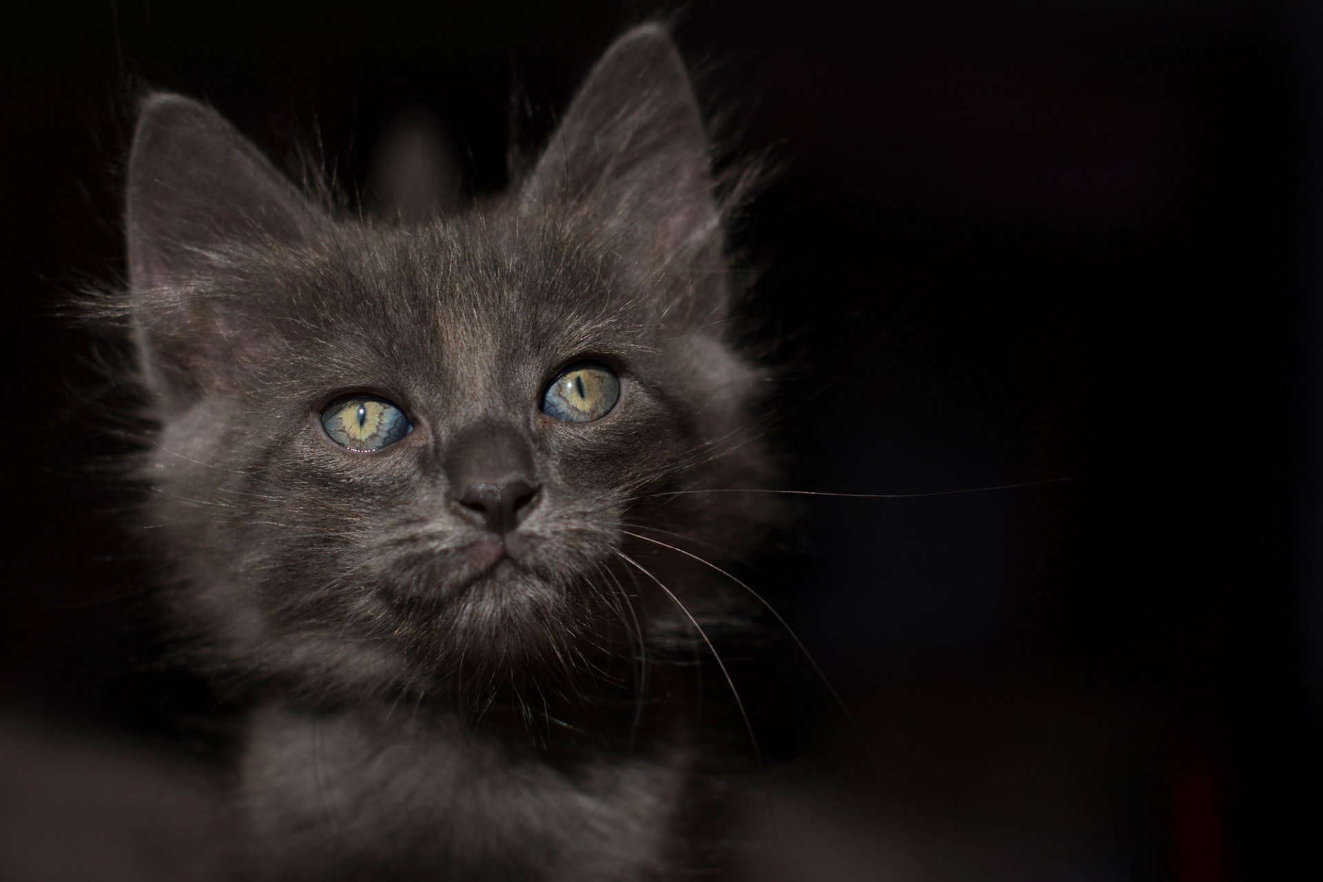 mirada ojos fondo