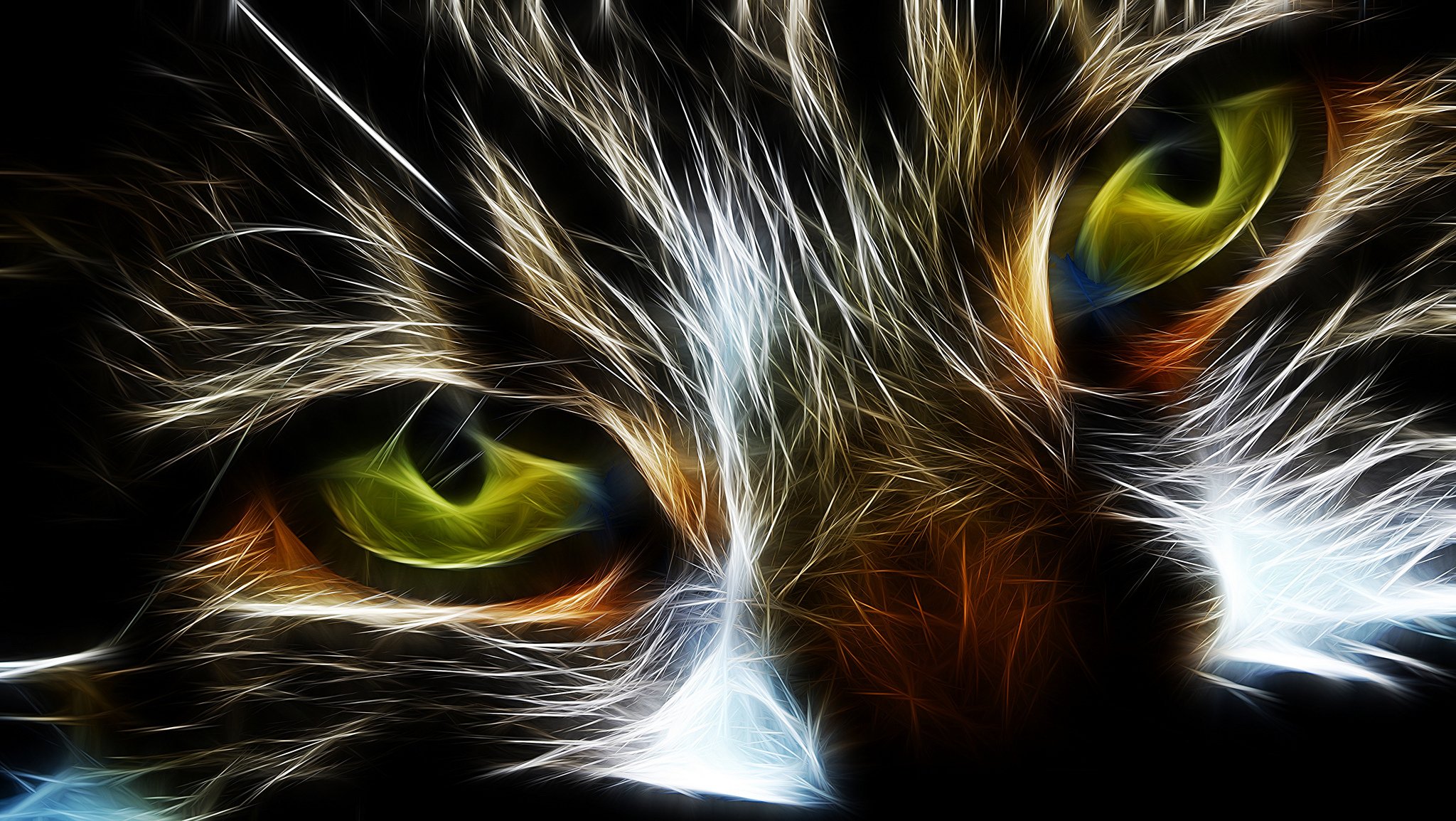 yeux chat chat abstraction