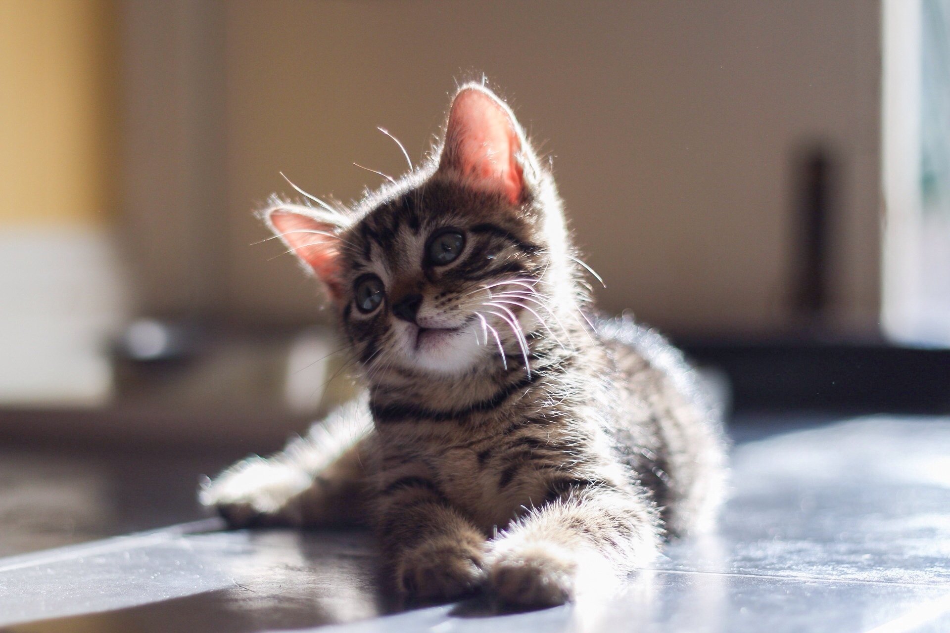 bébé regard yeux