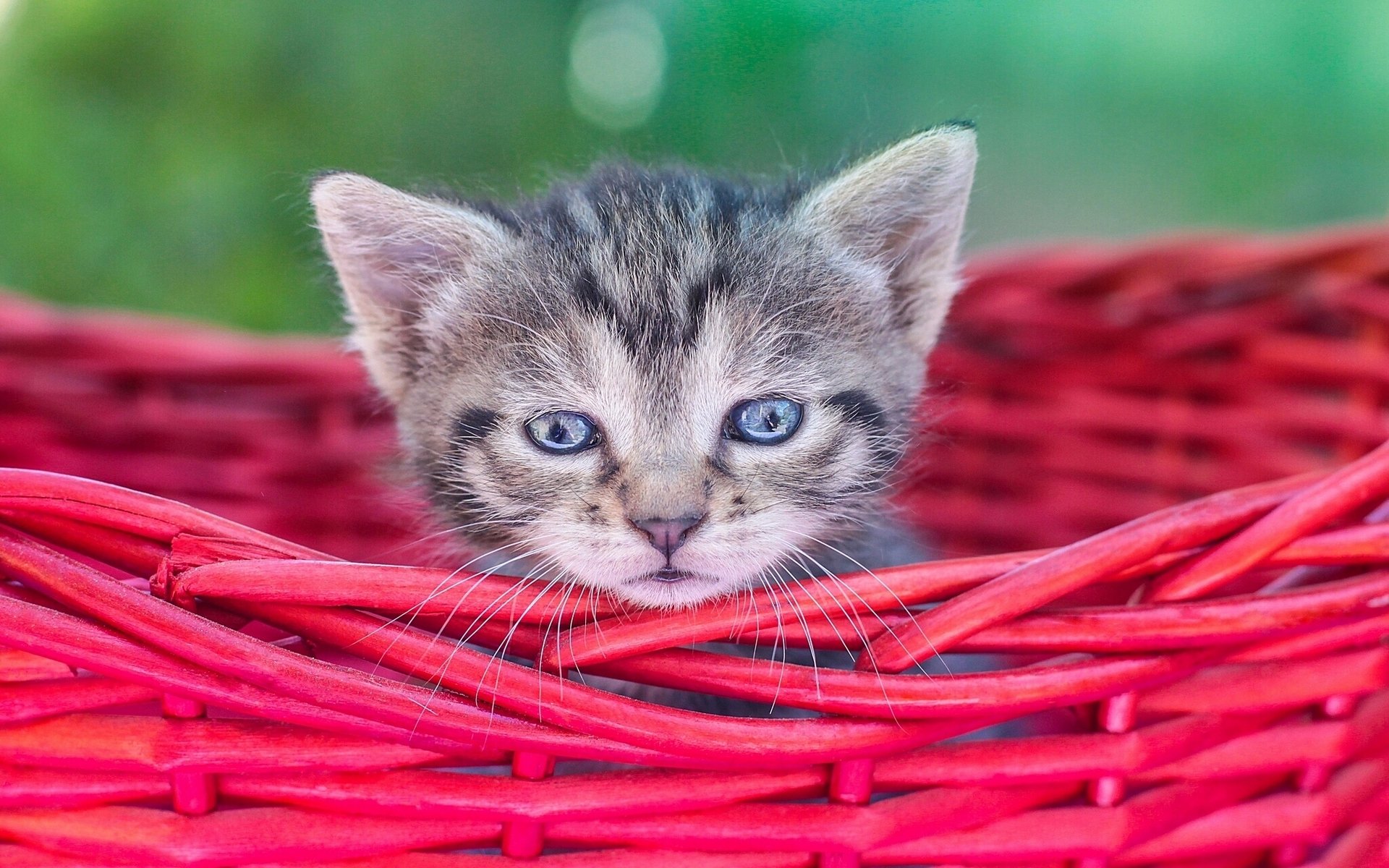 panier enfant