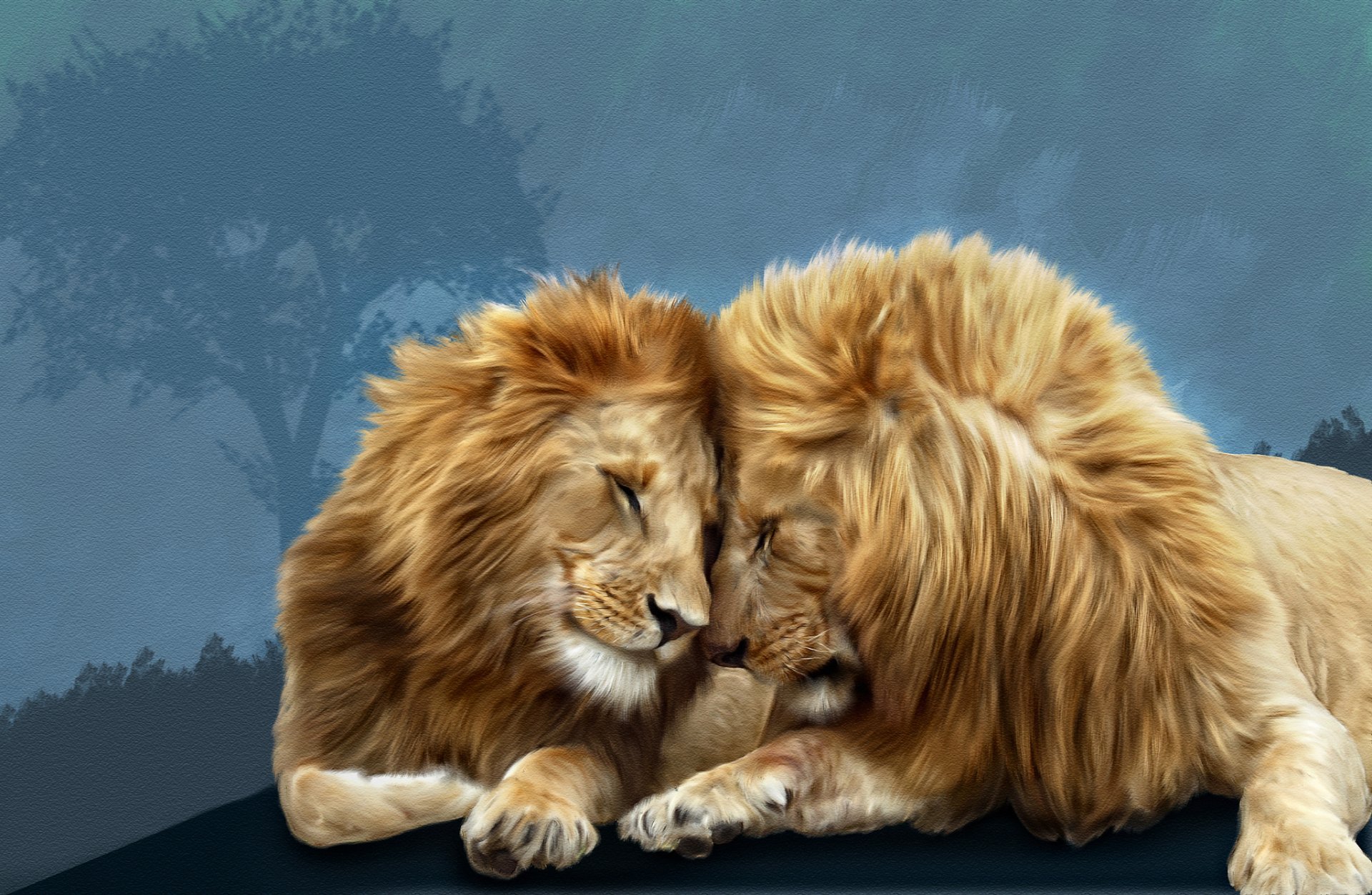 leones amor fraternal photoshop