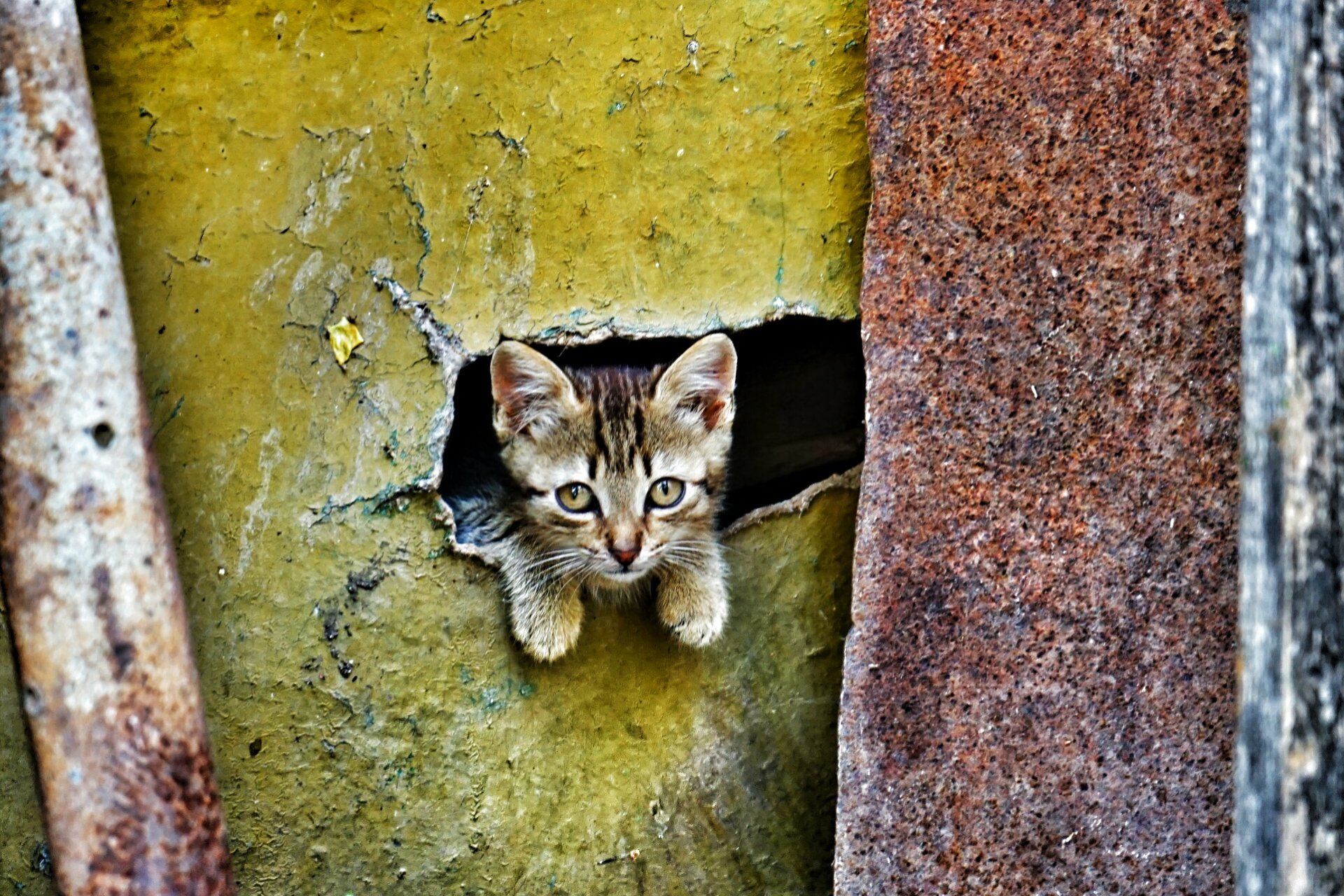 bebé mirada ojos