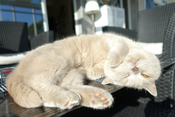 A British handsome man is resting on a table