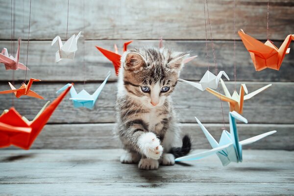 Chaton mignon joue avec des oiseaux en papier