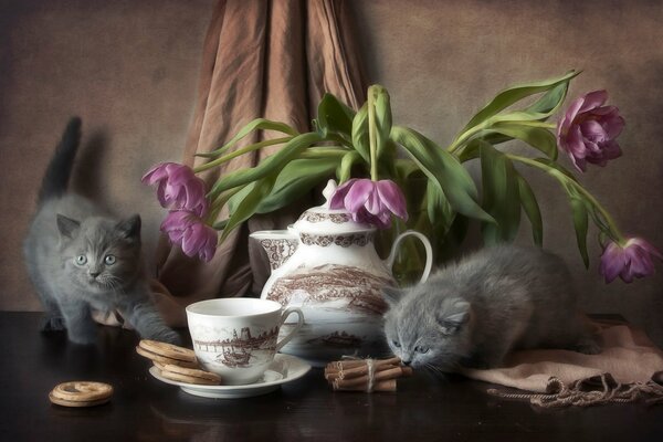 Kittens on the table cookies flowers