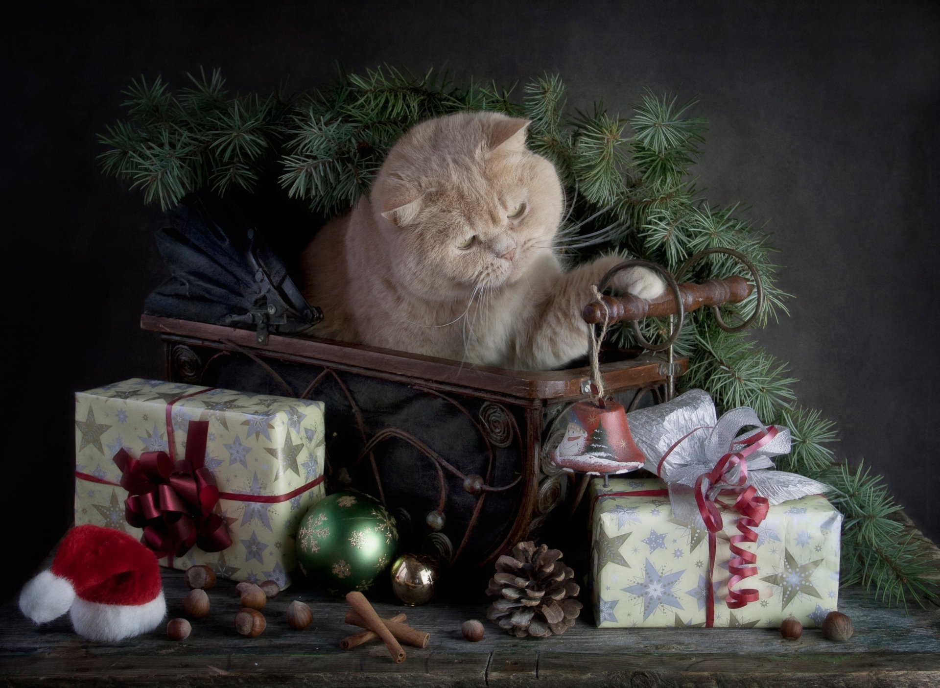 joyeux noël joyeux noël chat cadeaux