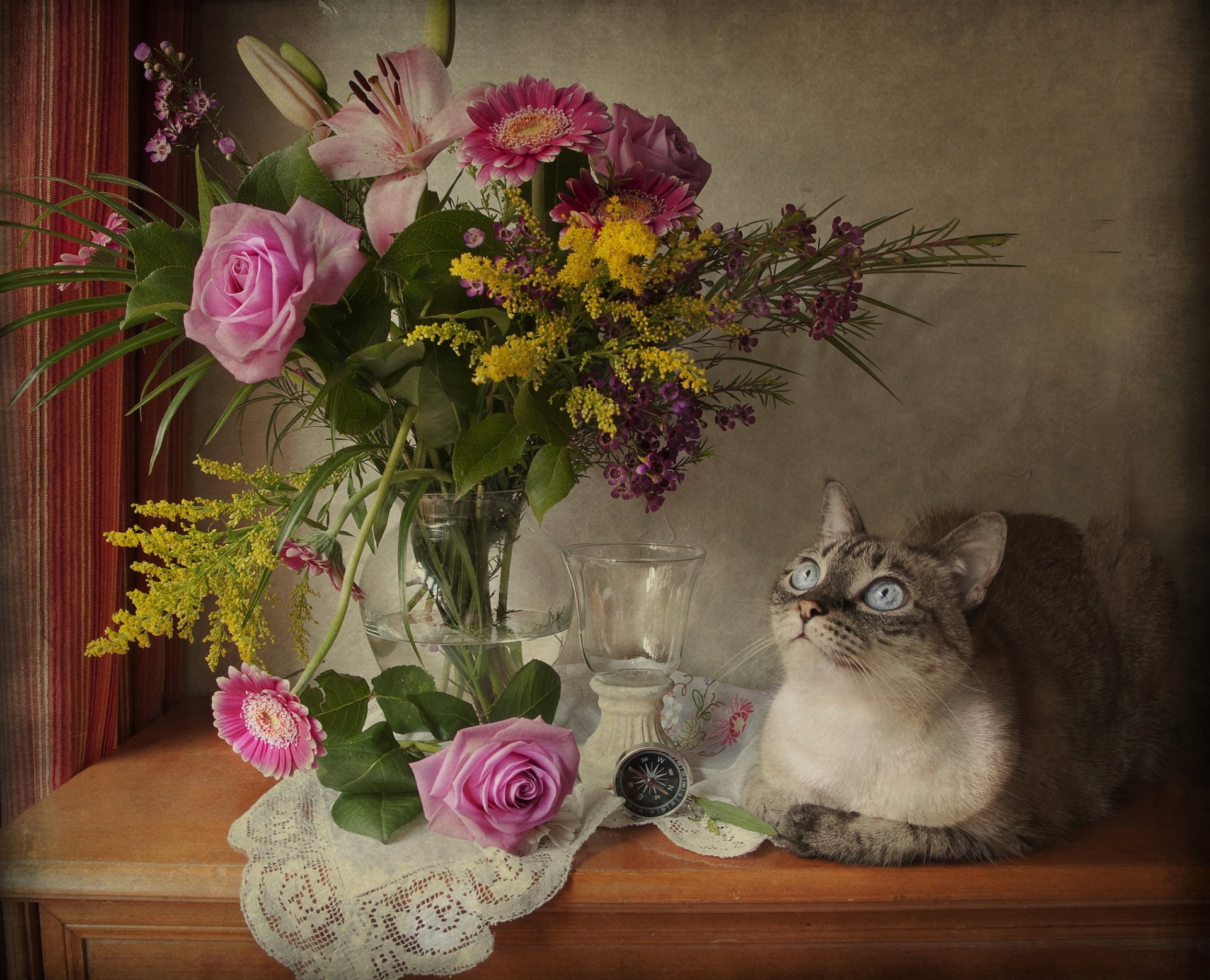 katze blumenstrauß rose blumen blick