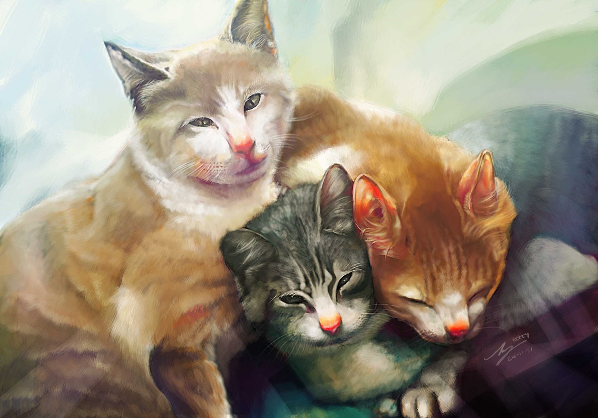 Рисунки котиков