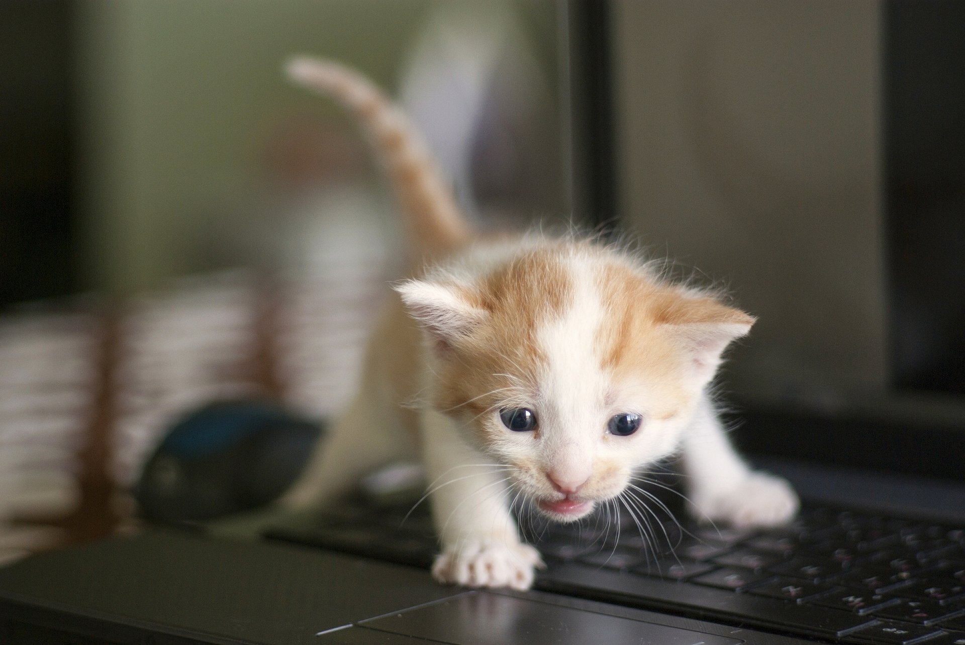 enfant clavier