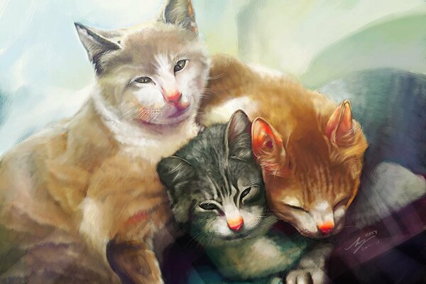 Zdjęcie z trzema kotami z czerwonymi nosami