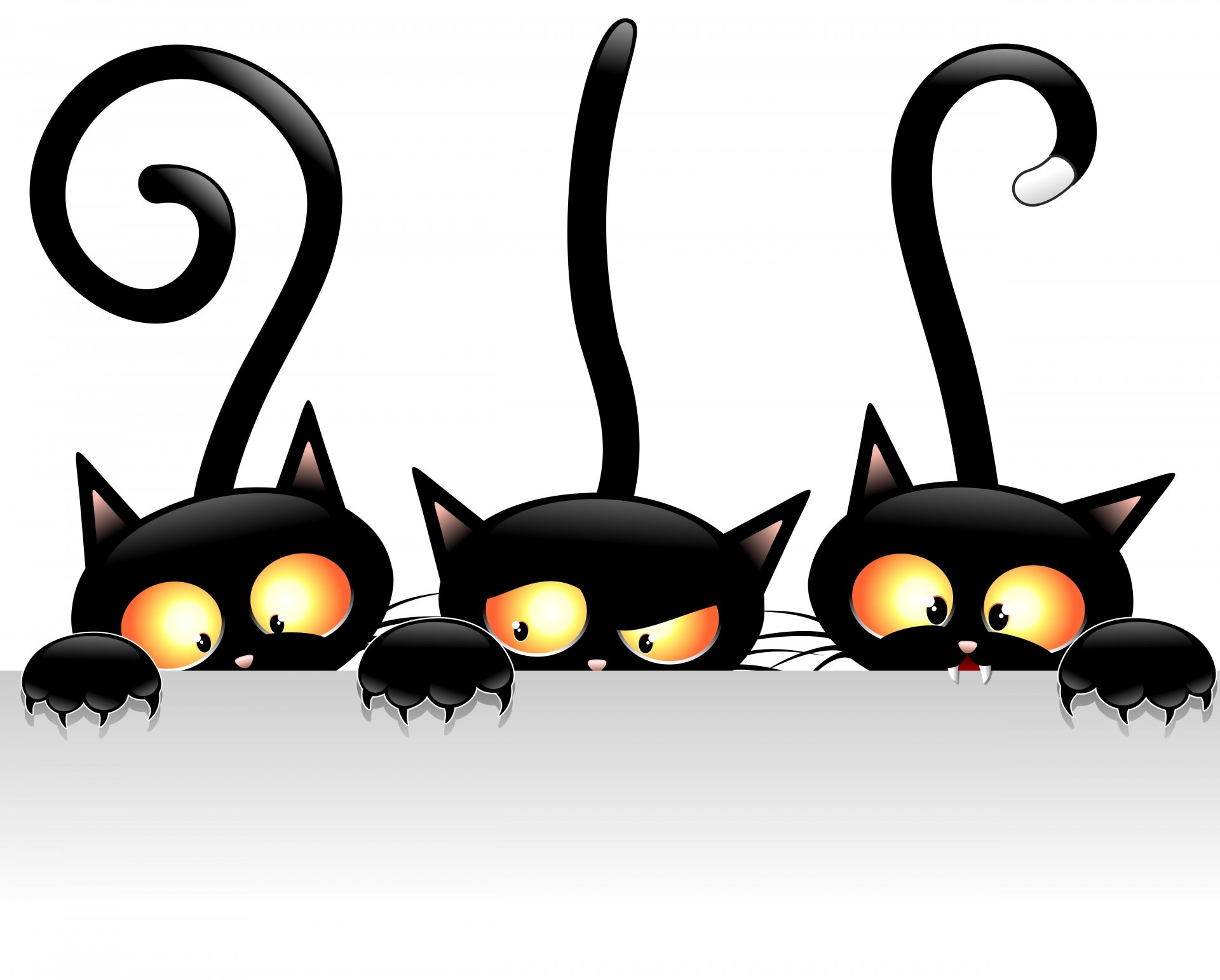 gatos negro miradas colas vector