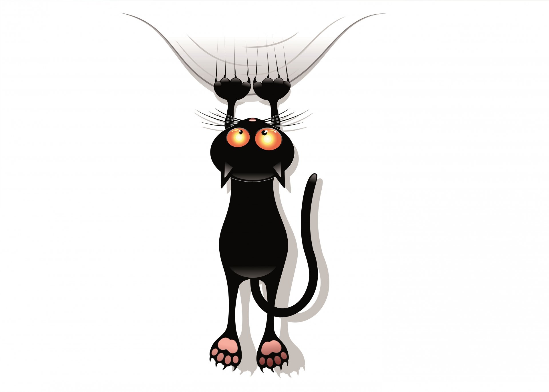 cat black vector . view claws feet crack tail background