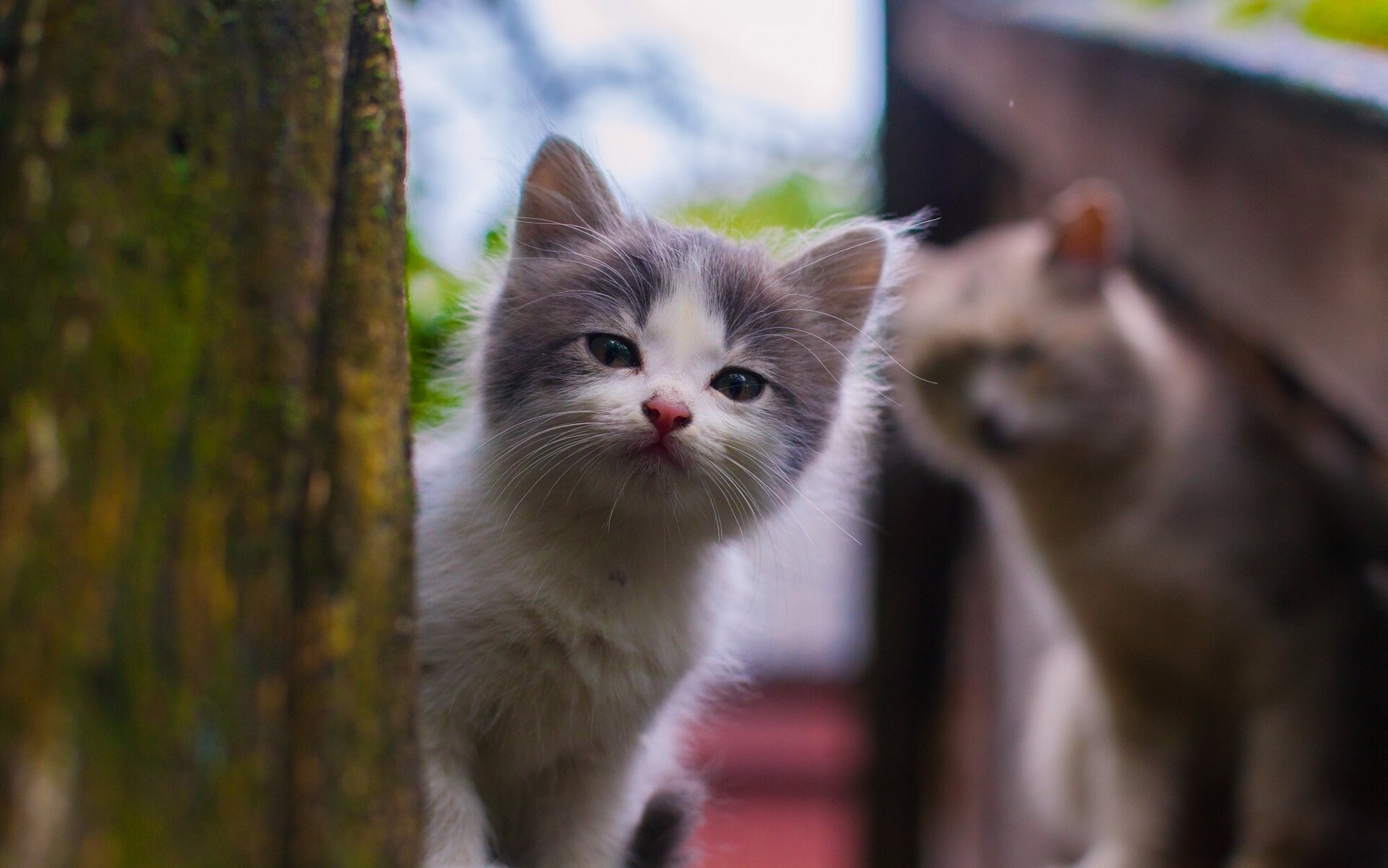 bébé regard