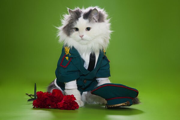 Le chat-gentleman a enlevé sa casquette et avec des fleurs