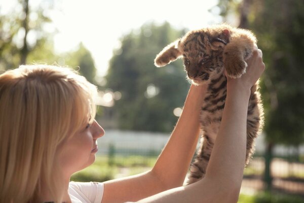 Das Mädchen hebt ein Tigermädchen an ihren Armen auf