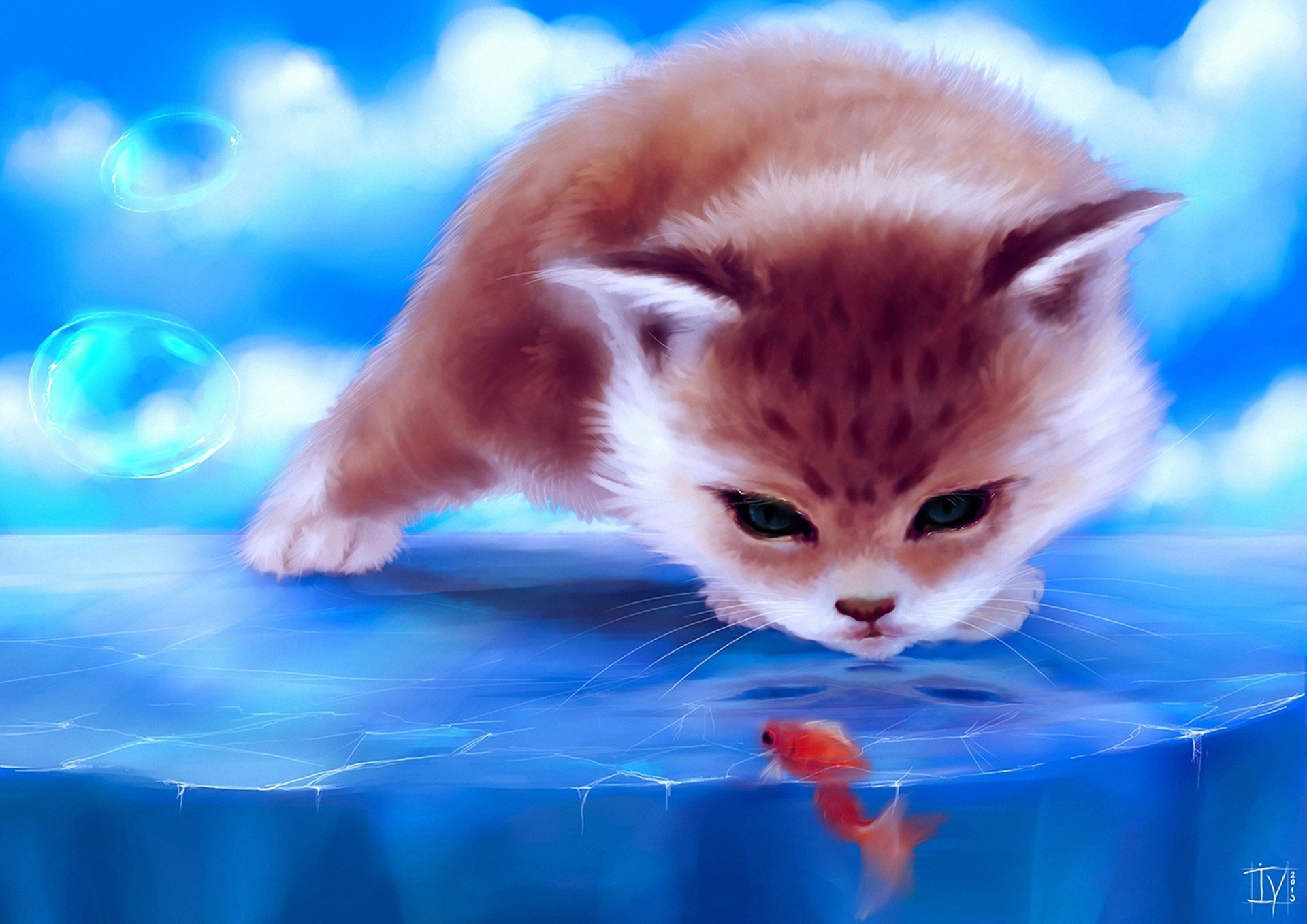 art cat fish fish ice bubble